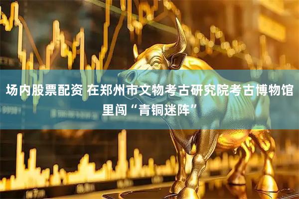 场内股票配资 在郑州市文物考古研究院考古博物馆里闯“青铜迷阵”