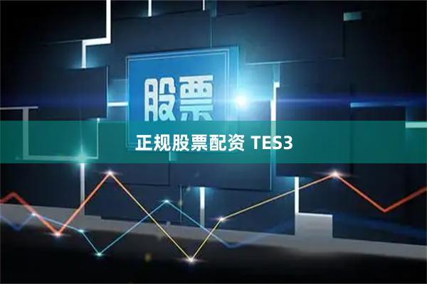 正规股票配资 TES3