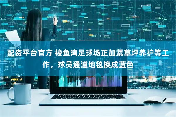 配资平台官方 梭鱼湾足球场正加紧草坪养护等工作，球员通道地毯换成蓝色