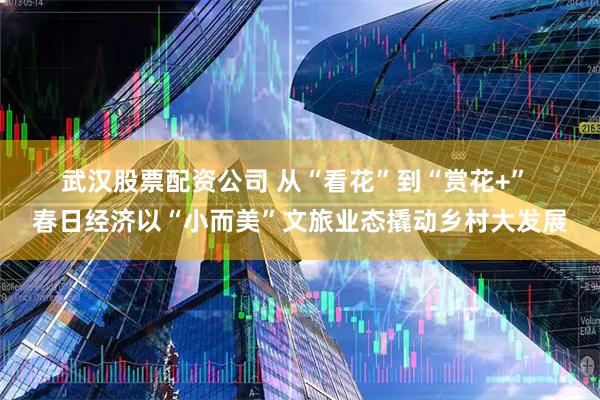 武汉股票配资公司 从“看花”到“赏花+” 春日经济以“小而美”文旅业态撬动乡村大发展