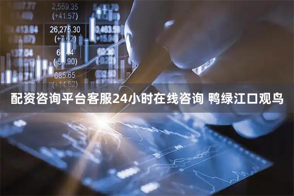 配资咨询平台客服24小时在线咨询 鸭绿江口观鸟